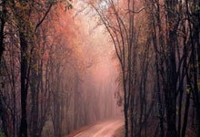 貝巴:瓦拉內也許想留隊,但曼聯可能不同意.