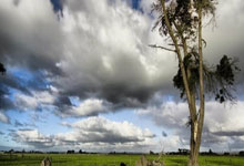 金年会:22/23賽季歐冠第3輪皇家馬德裏2-1頓涅茨克礦工 安切洛蒂多一勝將奠定“最成功的教練“.