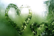 西甲第9輪馬德裏競技4-0卡的斯 菲利克斯2射1傳蘇牙破門.