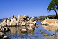 西甲第9輪馬德裏競技4-0卡的斯 菲利克斯2射1傳蘇牙破門.